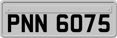 PNN6075