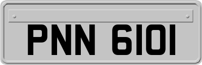 PNN6101