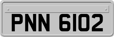 PNN6102