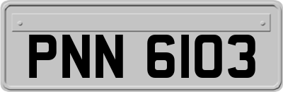 PNN6103