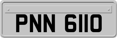 PNN6110