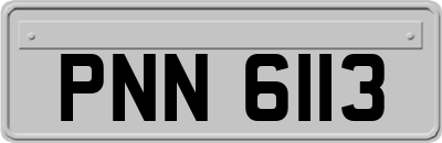 PNN6113