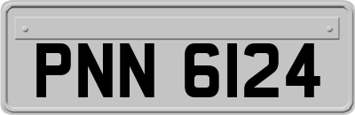 PNN6124