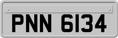 PNN6134