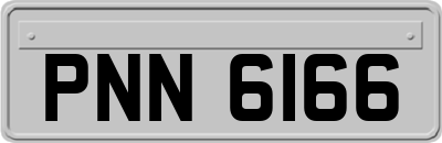 PNN6166