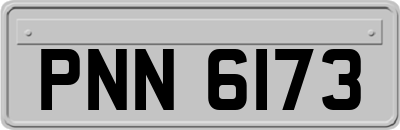PNN6173