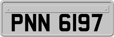 PNN6197