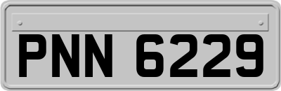 PNN6229