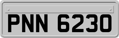PNN6230