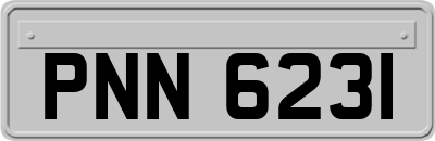 PNN6231