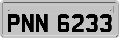 PNN6233