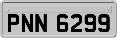 PNN6299