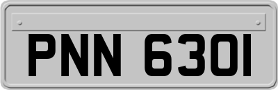 PNN6301