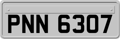 PNN6307