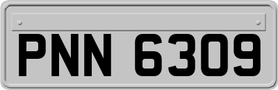 PNN6309