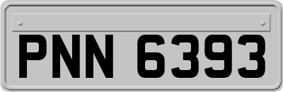 PNN6393
