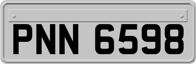 PNN6598