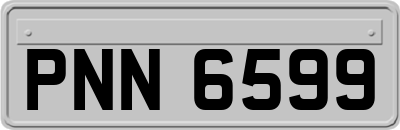 PNN6599