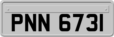 PNN6731