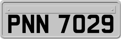 PNN7029
