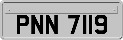 PNN7119