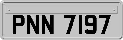 PNN7197