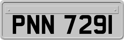 PNN7291