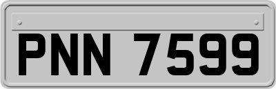 PNN7599