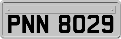 PNN8029