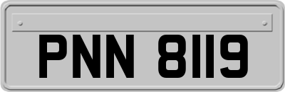 PNN8119