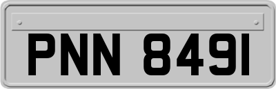 PNN8491