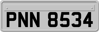 PNN8534