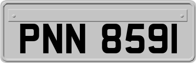 PNN8591