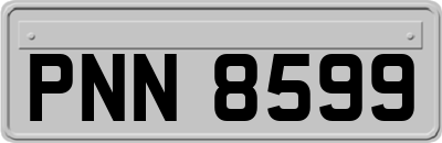 PNN8599