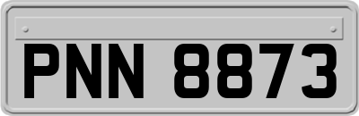 PNN8873