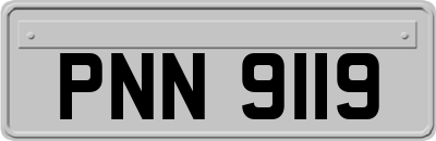 PNN9119