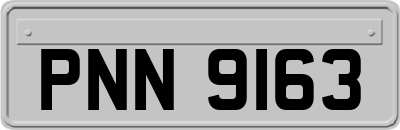 PNN9163