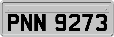 PNN9273