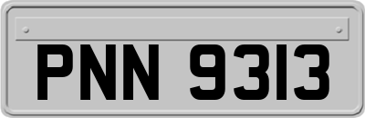 PNN9313