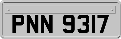 PNN9317