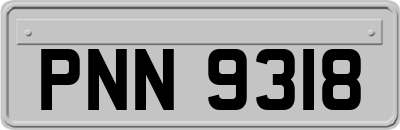 PNN9318