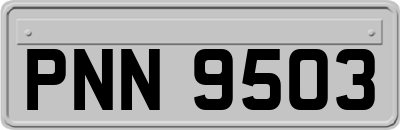 PNN9503