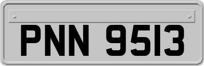 PNN9513