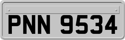PNN9534