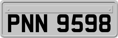 PNN9598