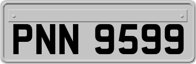 PNN9599