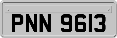 PNN9613