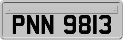 PNN9813