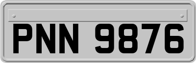 PNN9876