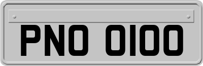 PNO0100